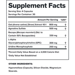Ingredient highlight: Bacopa Monnieri 330 mg per serving