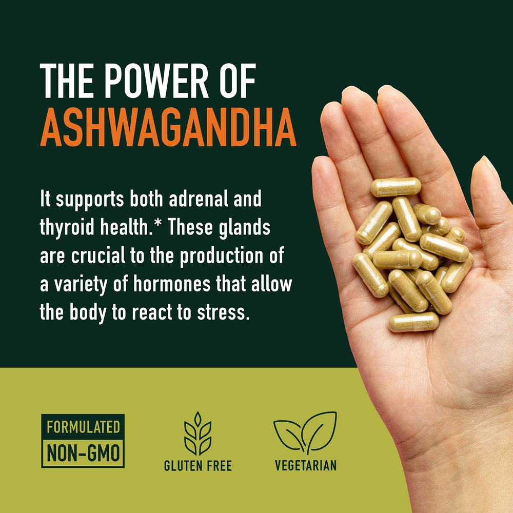 Daily wellness supplement for stress support