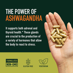Daily wellness supplement for stress support