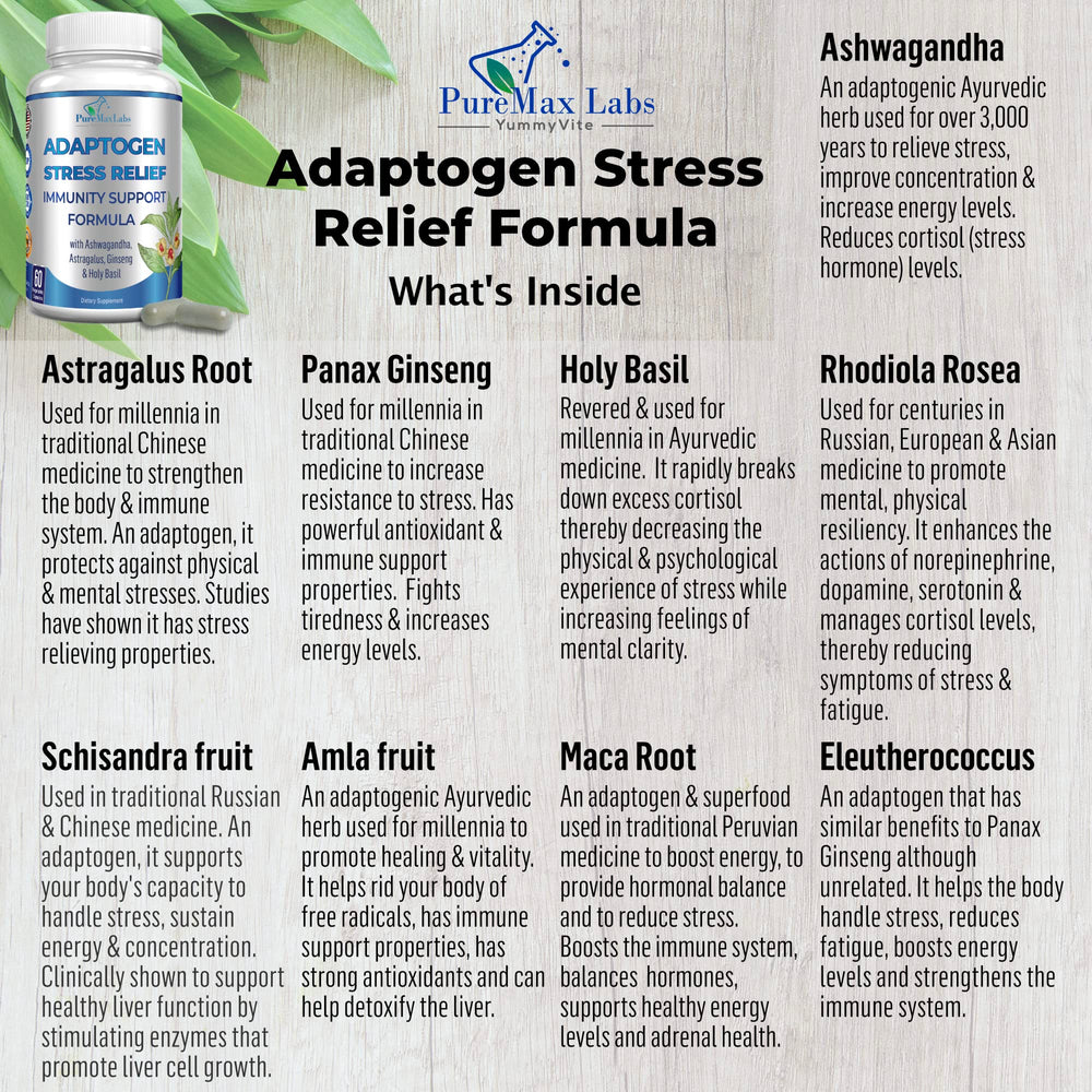 Key adaptogenic herbs including Ashwagandha, Astragalus and Ginseng