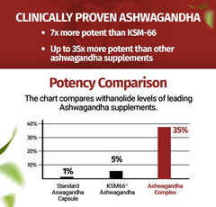 Daytime energy support visualization with Ashwagandha Complex