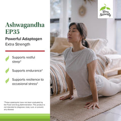 Close-up of Ashwagandha EP35 promoting stress resilience