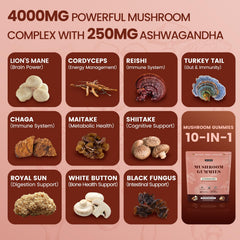 Ashwagandha and mushroom blend for immune support and stress relief