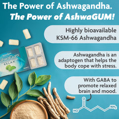 Ingredients panel showing KSM-66 Ashwagandha and GABA