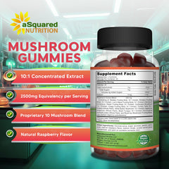 Gummies illustrating cognitive and energy support with Lion's Mane and Reishi