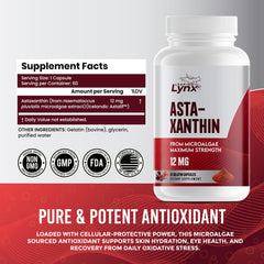 Illustration of eye and brain health with astaxanthin