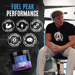 AstraGin and Sea Salt ingredients graphic for Animal Creatine Chews