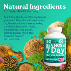 Psyllium husk and herbal blend concept image