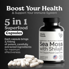 Bladderwrack, Burdock Root, and Black Pepper ingredients with capsules