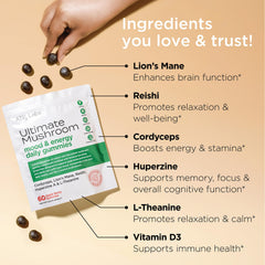 Illustration of cordyceps, lion's mane, and reishi mushroom extracts