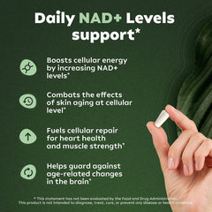 Close-up of 90 capsules highlighting liposomal delivery