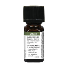 Cypress leaves used for Aura Cacia essential oil