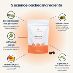 Hands taking an Avantera Elevate gummy for daily focus on the go