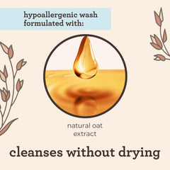 Illustration highlighting natural oat extract used in Aveeno Baby care