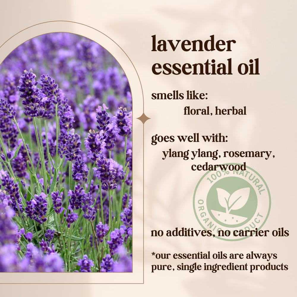 Close-up of lavender sprigs with dropper bottle