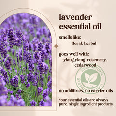 Close-up of lavender sprigs with dropper bottle