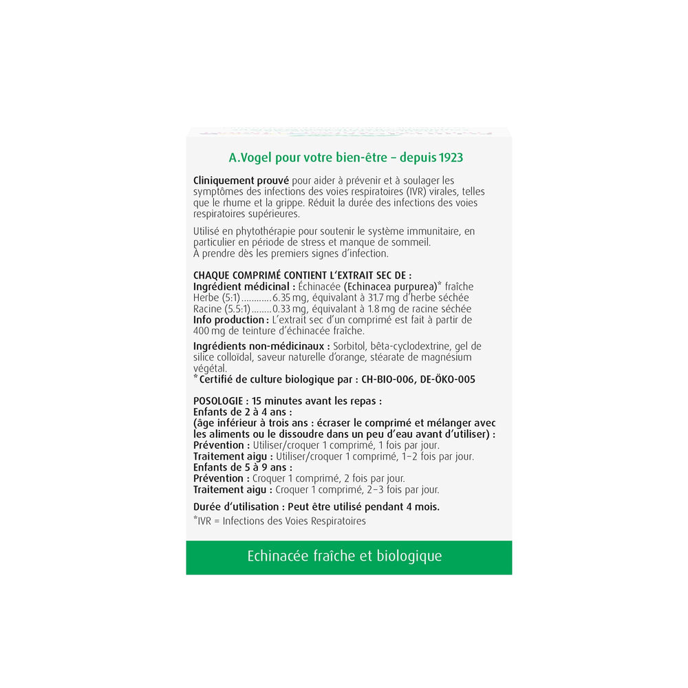 Fresh organic Echinacea purpurea plant used in Echinaforce Junior