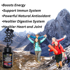 AyBet Shilajit Rhodiola Rosea blend