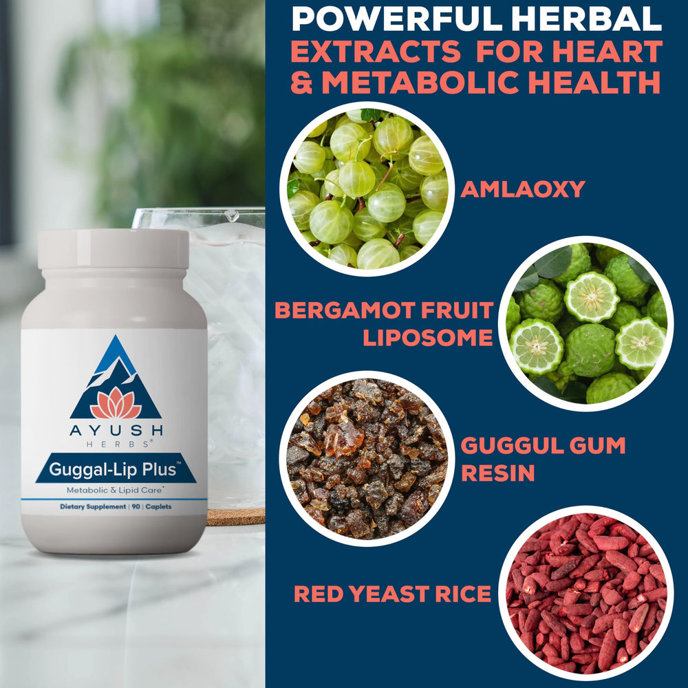 Lipid digestion and absorption concept with heart health