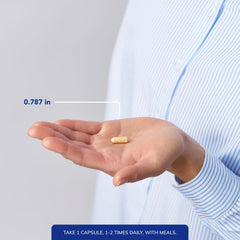Graphic illustrating B vitamins and energy metabolism