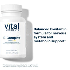 Graphic showing B vitamins supporting energy production and metabolism