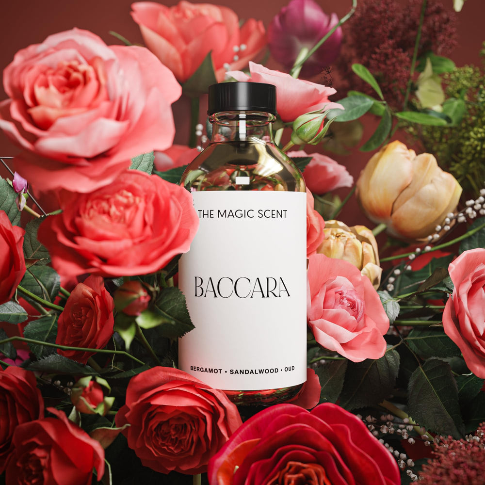 Usage guidance for diffuser oils with Baccara