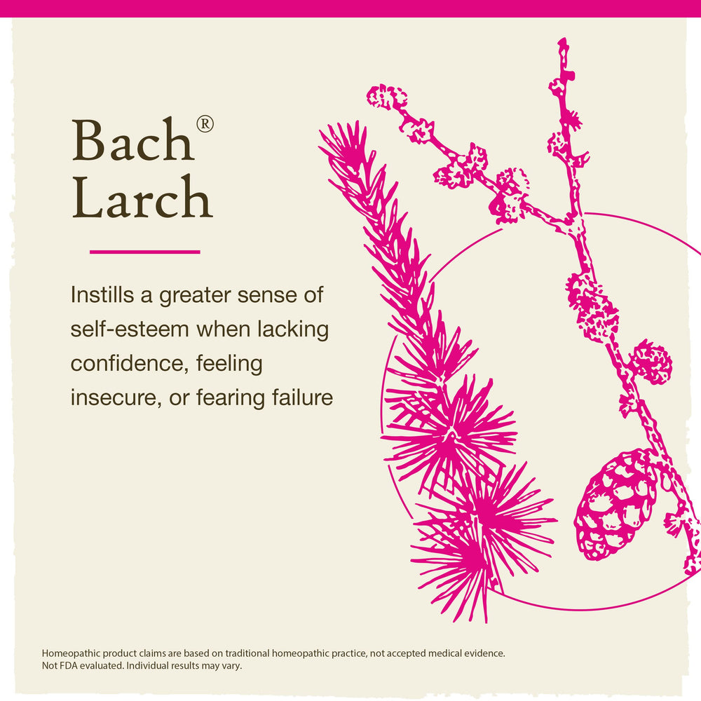 Bach Larch remedy label close-up