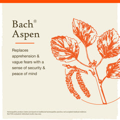 Bach Original Flower Remedies collection illustrating 38 flower remedies