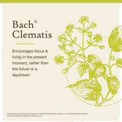Original Bach Flower Remedies collection artwork