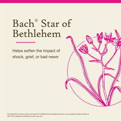 Emotional balance with Bach Original Flower Remedies