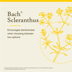 Back view of label on Bach Original Flower Remedies Scleranthus Be Decisive bottle