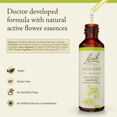 Wild Rose remedy drops being prepared in a glass of water