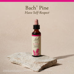 Dr. Bach Pine Flower Remedy symbol representing emotional balance and self-respect