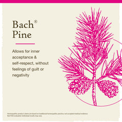 Front label of Bach Pine Flower Remedy