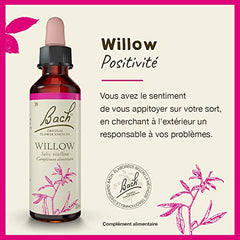 Willow flower remedy for emotional balance