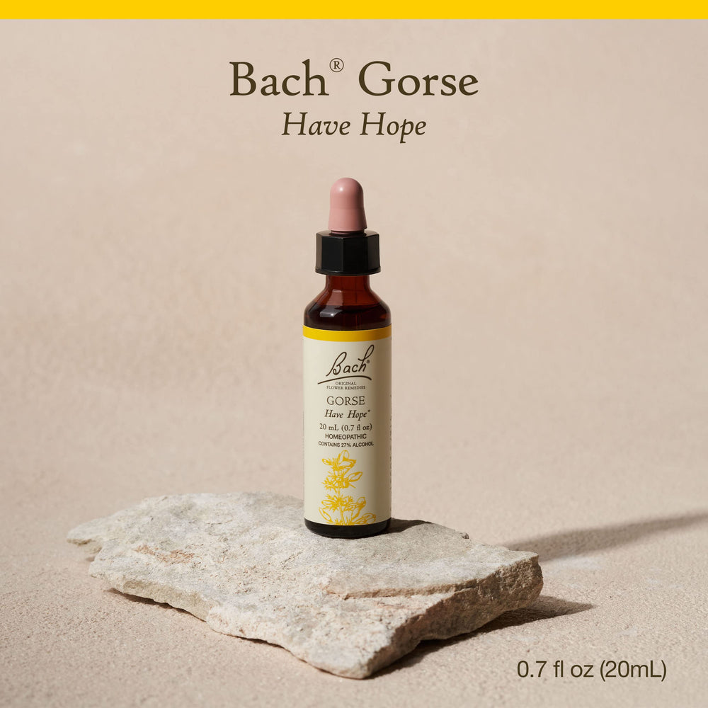 Gorse flower remedy bottle front label