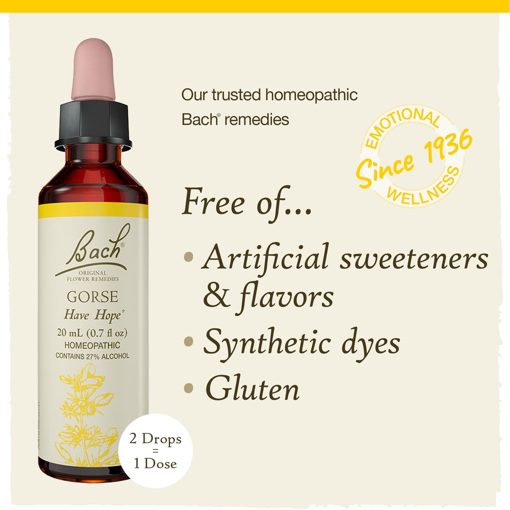 Vegan gluten-free sugar-free Bach Gorse ingredients