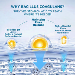 Bacillus Coagulans probiotic gummies for feminine balance