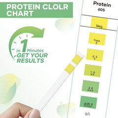 Home testing setup with BACNUNN strips and urine sample