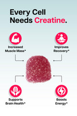Close-up of Baese Creatine Monohydrate Gummies chewables