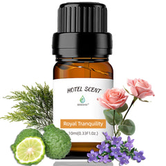 BAIESHIJI Royal Tranquility diffuser oil lemon jasmine amber bottle for hotel-like freshness.