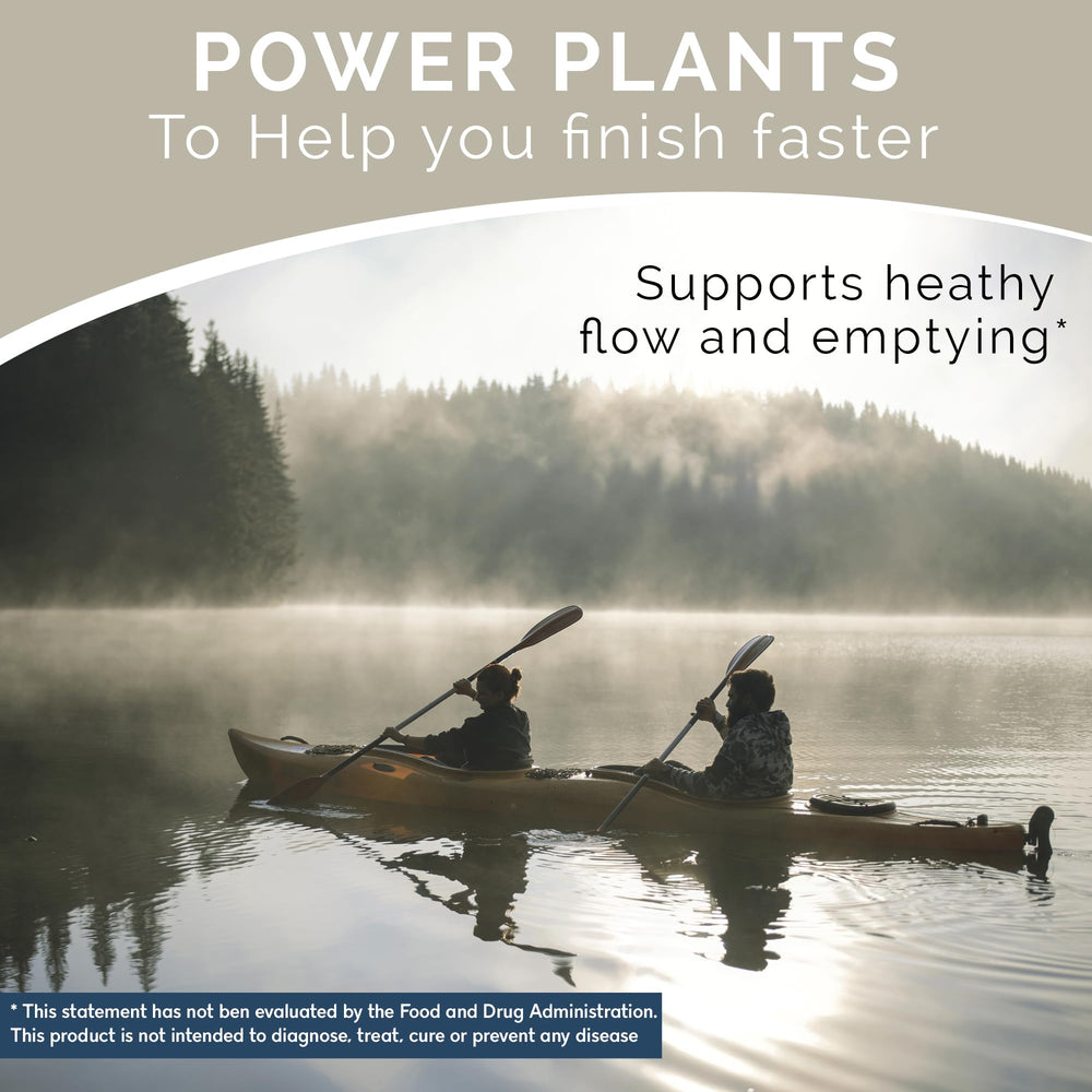 Saw Palmetto and other plant-based ingredients used in Balanced Vibe Prostate Supplement
