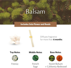 Close-up of sola flowers in PetiteEssence diffuser