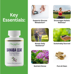 Close-up of Banaba Leaf Extract bottle label showing 250 mg