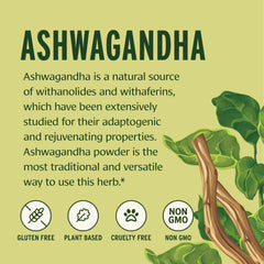 Close-up of Banyan Botanicals Ashwagandha Powder jar