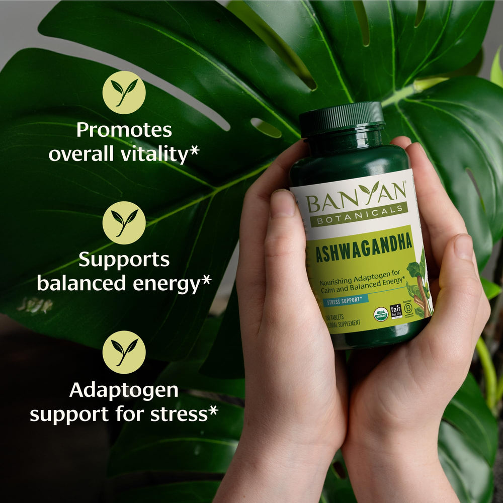 Closeup of Banyan Botanicals Ashwagandha tablets showing a compact daily-use form