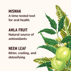 Mint flavor Tooth Powder with Miswak and Charcoal