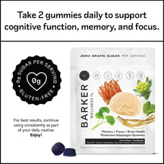 Infographic showcasing benefits: memory, focus, brain health