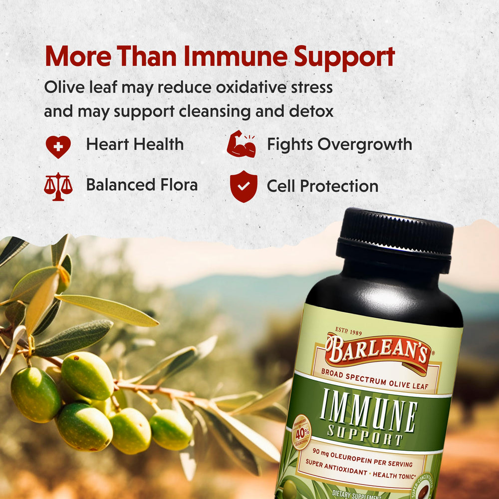 Graphic showing ingredients of Barlean's Olive Leaf Complex