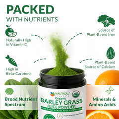 USDA Organic Gluten-Free Vegan barley grass powder